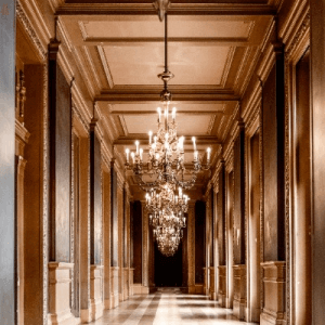 DOGE USD real time chart